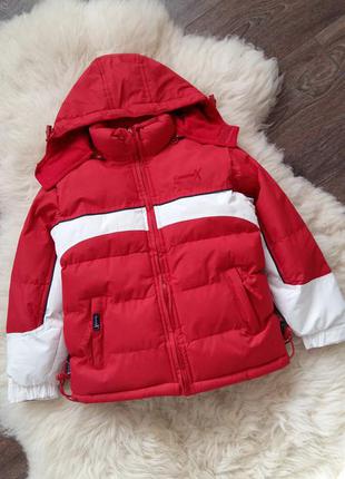 Лыжная термокуртка chamonix (италия) на 7-8 лет (размер 128)