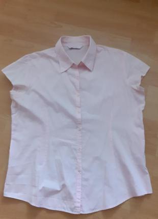 Рубашка блузка розовая