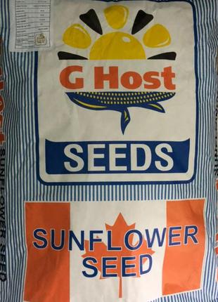 Семена подсолнечника Канада G Host Sulit (GS 29032) (ДжиХост) ...