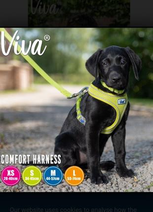 Шейка Viva Comfort жилет сетка для собак крупных