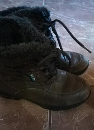 Ботинки geox кожа р.36 зима термо