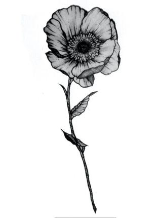 Флеш тату Серый цветок мака переводная-временная татуировка, в...