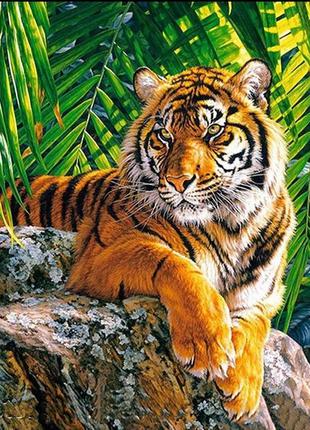 Картина выкладка 🟦 20х30 см камнями по номерам алмазка тигр