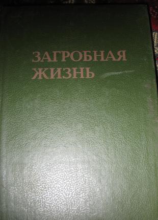 Загробная жизнь