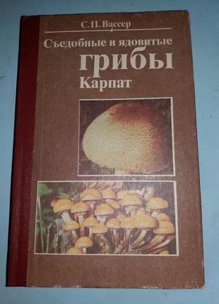 Съедобные и ядовитые грибы Карпат.