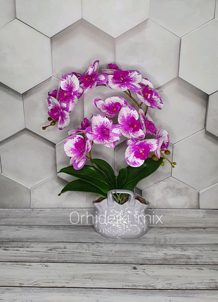Латексна орхідея