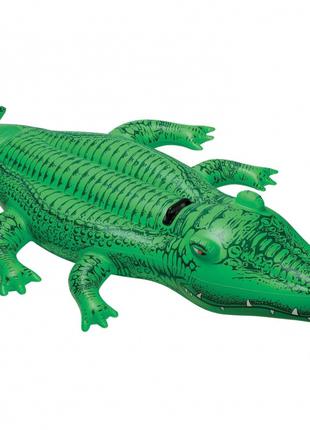 Надувн. "Крокодил" 58546 (12шт) вініл, з ручками (3 років), ре...