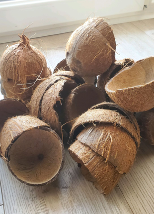 Скарлупа кокоса для декора