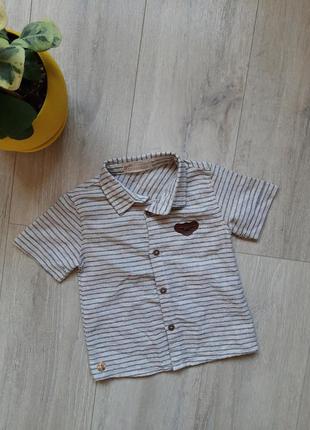 Domakin 3 года новая рубашка хлопок сорочка дитячий одяг domakin