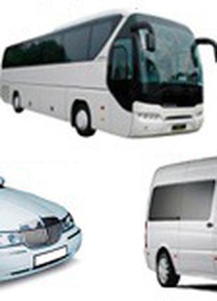 Аренда пассажирского транспорта в Одессе: Автобусы, лимузины