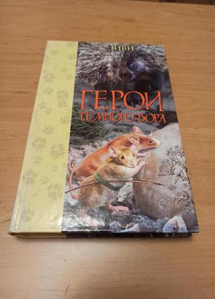 Эйви Герои Темного Бора детская книга