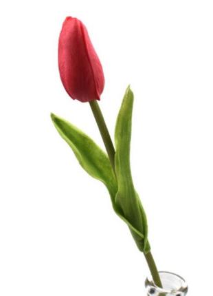 Искусственные тюльпаны красные - 1 штука, на вид и на ощупь ка...