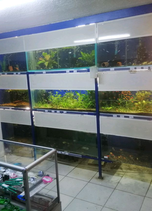 Готовый бизнес по аквариумтстике