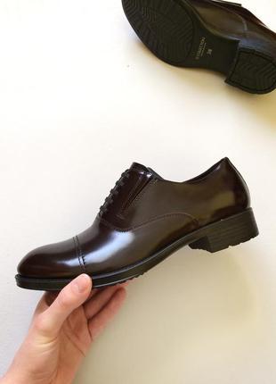 Кожаные дерби tj collection оригинал, туфли, оксфорды, броги, ...