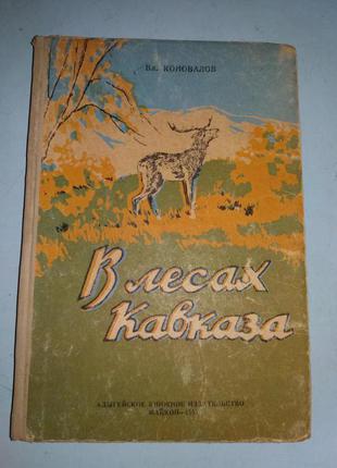 В лесах Кавказа.