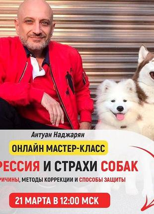 Антуан Наджарян - мастер-класс "Агрессия и страхи собак"