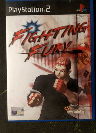 Fighting Fury PS2