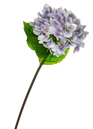 Декоративные искусственные цветы "Гортензия Papillon" голубая ...