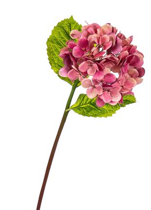 Искусственные цветы "Гортензия Papillon" фуксия 60 см