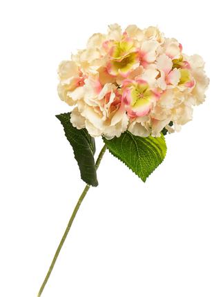 Декоративные искусственные цветы "Гортензия молочно-розовая" 7...