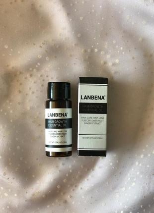 Сыворотка lanbena hair growth essential oil, против выпадения ...