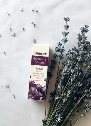 Сыворотка lanbena blueberry serum, с гиалуроновой кислотой и э...