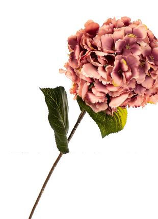 Декоративные искусственные цветы "Гортензия двухцветная" 72 см