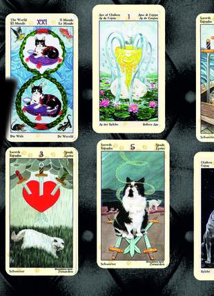 Карты Таро Таро Языческих Кошек — Tarot of Pagan Cats