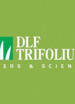 Газонная трава DLF Trifolium SUN (САН) 1 кг на вес из мешка