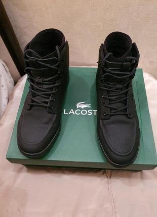 Чоловічі демісезонні черевики lacoste