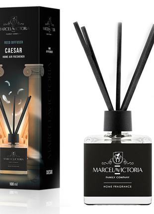 Ароматизатор жидкий для дома/офиса Tasotti "Reed diffuser" 100...