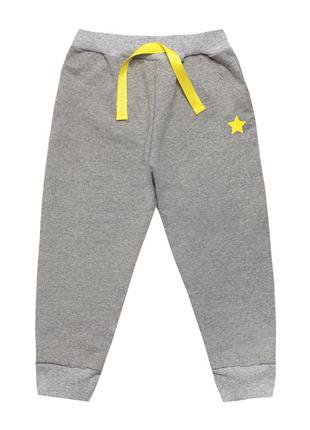 Детские брюки для мальчика *Зоомир* 68, серый