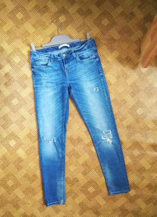 Рваные джинсы zara basic dept z1975 ☕ размер 36eur/наш 42р