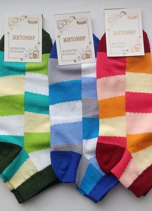 Житосвітські різнобарвні шкарпетки