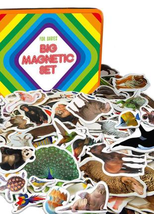 Детский набор магнитов Magdum Животные, для детей от 3 лет, 11...