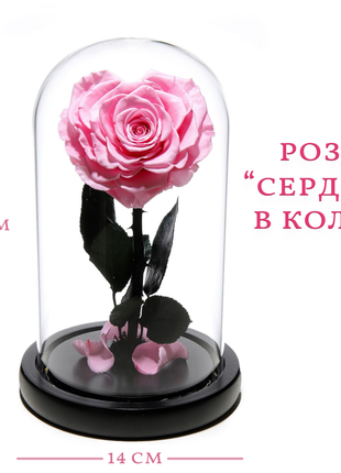 Вечная Роза "Сердце" в колбе | подарок девушке, женщине