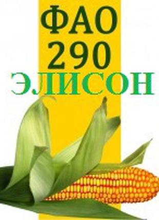 Элисон ФАО 290 (Франция) Семена кукурузы