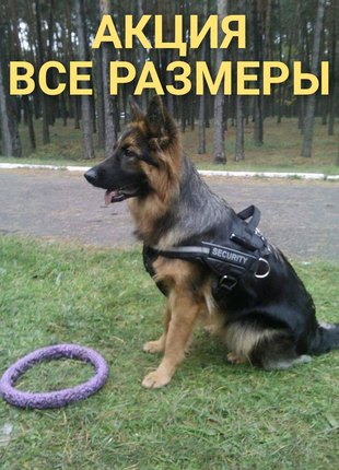 Акция Новая Шлея collar dog police 40-60 см Extrem