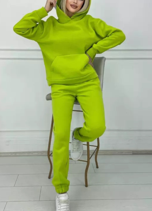 Женский спортивный костюм деми норма 6 цветов 48458нс