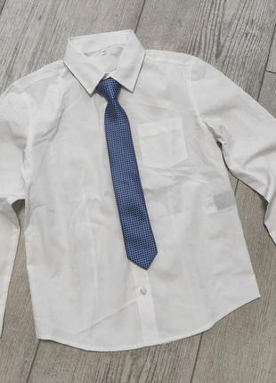 Рубашка белая галстук в комплекте c&a 128 см