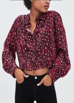 Леопардова блуза, сорочка zara