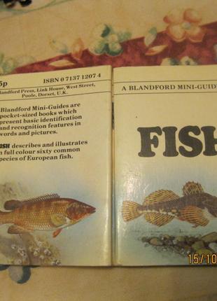 FISH книга НА АНГЛИЙСКОМ ЯЗЫКЕ рыба старая о рыбе
