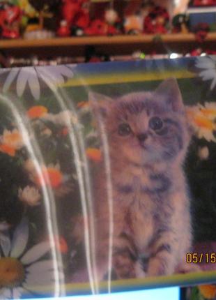 Коллекционеру открытка переливающаяся котенок кот