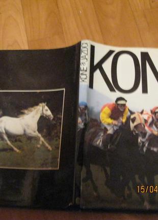 Книга альбом большой 1985 лошади кони фото альбом яркая