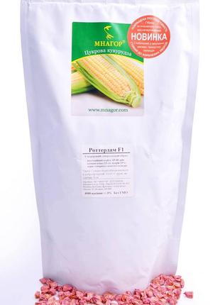 Сахарная кукуруза Роттердам F1, Sh2-тип, 20000 семян, 66-69 дн...