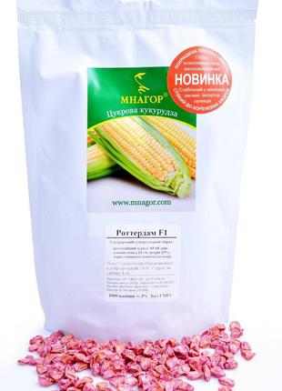 Сахарная кукуруза Роттердам F1, Sh2-тип, 4000 семян, 66-69 дне...
