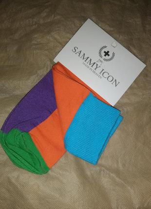 Шкарпетки дизайнерські кольорові