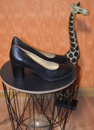 Кожаные туфли geox 37 р., 24 см