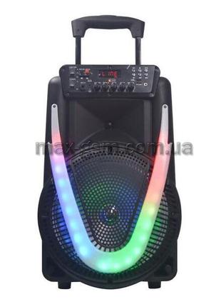 Колонка Nanox PB310 Karaoke