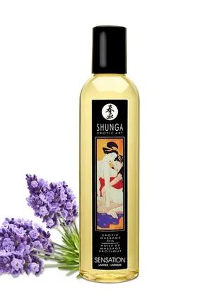 Массажное масло Shunga Erotic Massage Oil с ароматом лаванды 2...